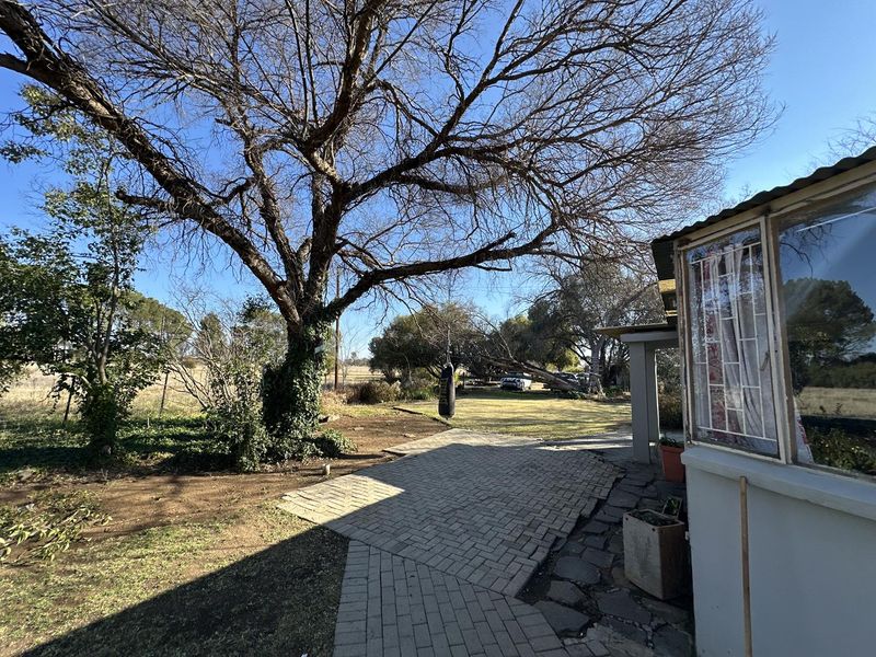 A rear exterior view of the property featuring a paved patio area, mature trees, and a view of the surrounding small holding grounds.