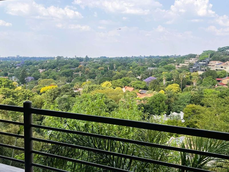 Elevated view overlooking a lush, green suburban landscape with mature trees and residential properties in the distance.