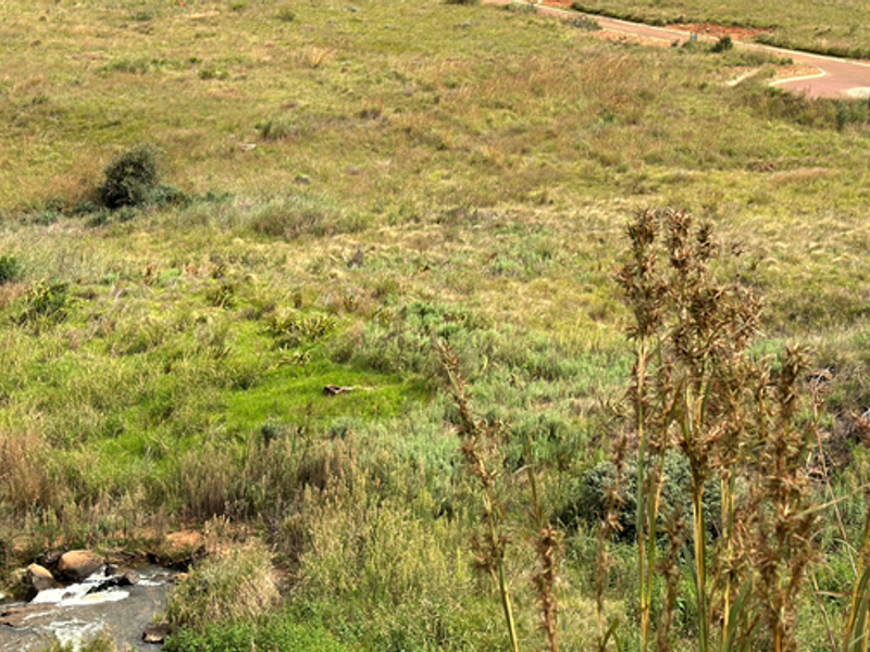 Fantastic stand on Ernie Els Golfing Estate 1049 - Photo 3