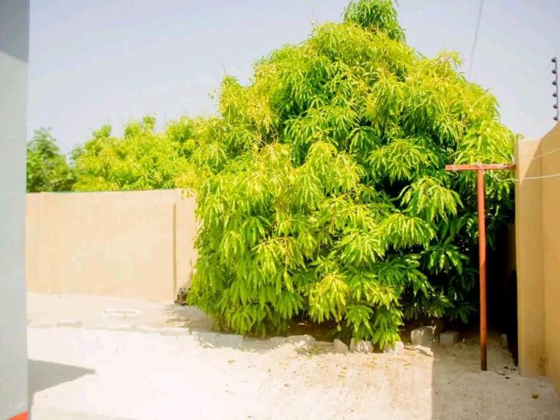 For Sale: 3-Bedroom Home – Ongwediva Extension 14  Selling Price N$1 240 000.00 Cost Exclusive - Photo 10