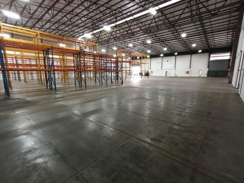 Spacious industrial warehouse featuring high ceilings, polished concrete flooring, and extensive built-in racking systems, suitable for large-scale storage or distribution operations.
