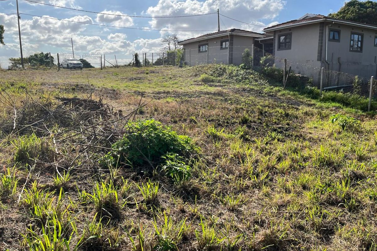 Massive Vacant Land for Sale in Nagina - Photo 2