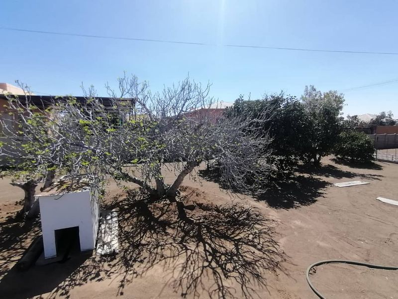 GORGEOUS FAMILY HOME WITH FLATLET FOR SALE IN KEETMANSHOOP - NAMIBIA - Photo 5