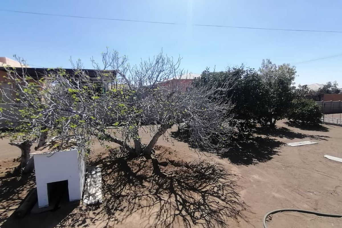 GORGEOUS FAMILY HOME WITH FLATLET FOR SALE IN KEETMANSHOOP - NAMIBIA - Photo 5