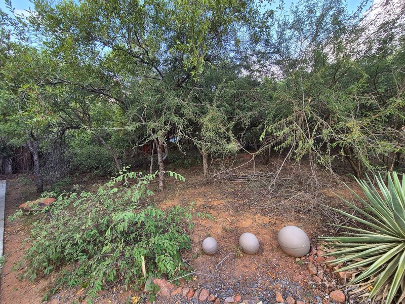 400m2 Level Stand - Photo 5