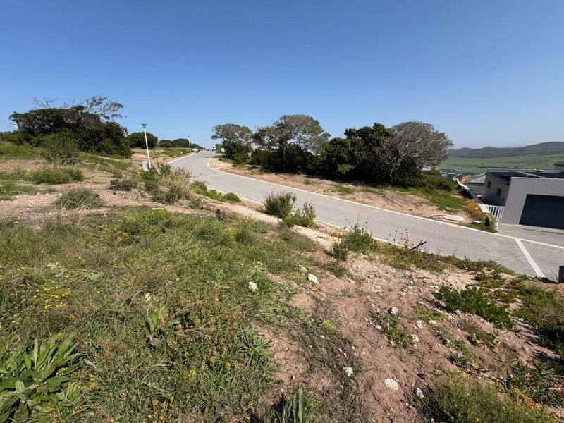 A view of the paved street and surrounding landscape bordering the vacant residential plot.