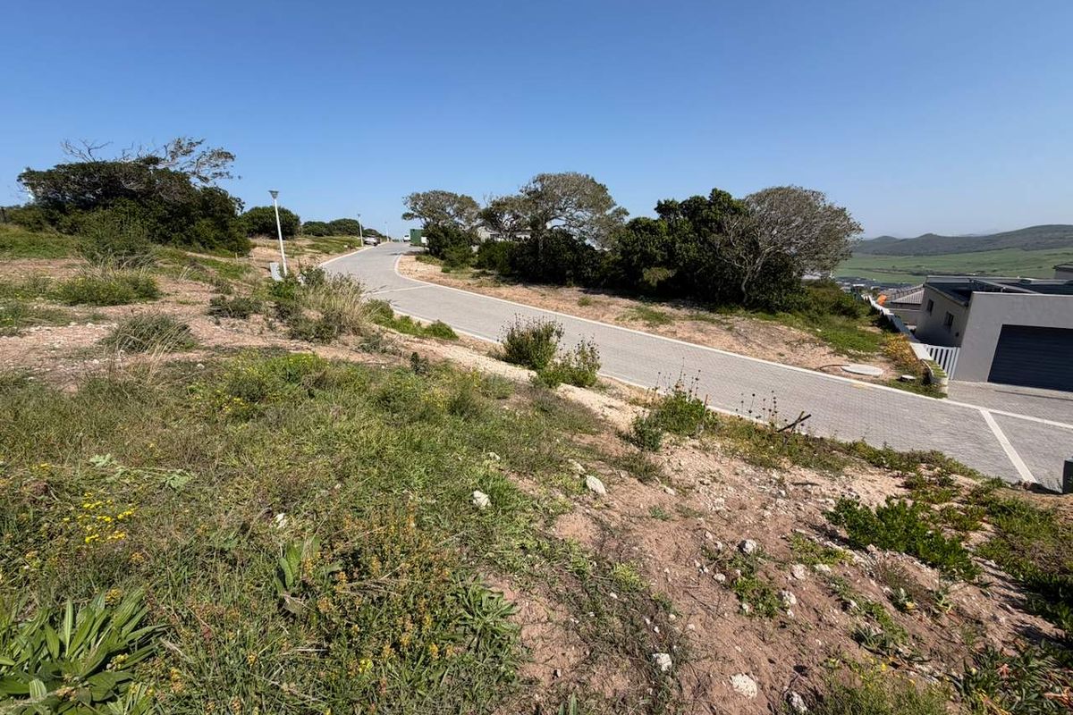 A view of the paved street and surrounding landscape bordering the vacant residential plot.