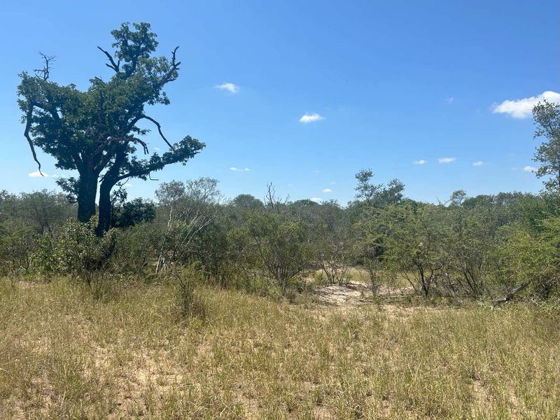 MODITLO WILDLIFE ESTATE - Vacant land for sale! - Photo 7