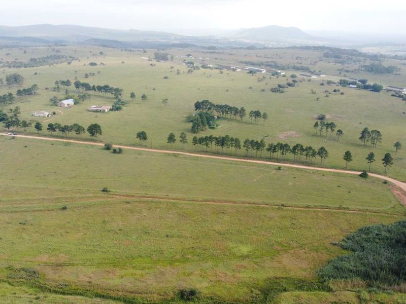 This Beautiful Stand/Farm is situated in the Heart of The Cradle of Humankind. - Photo 6