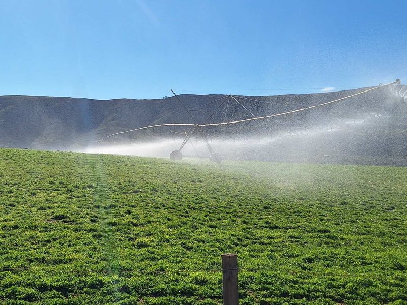 Water - Water - Water - Photo 3