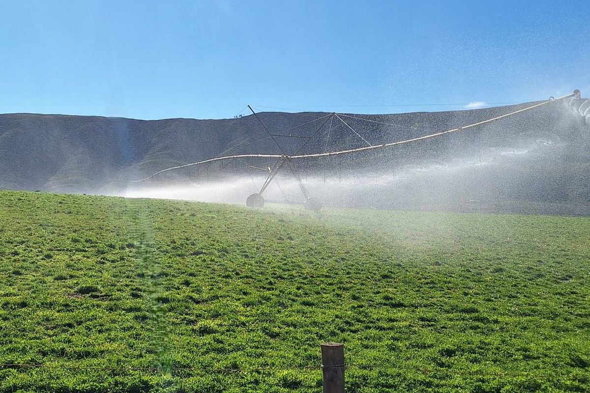 Water - Water - Water - Photo 3