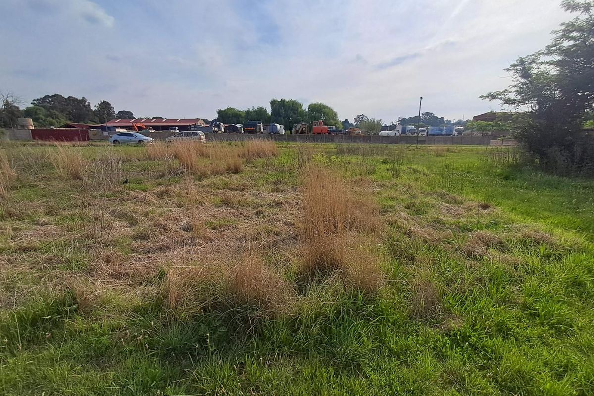 An expansive open plot of land on a small holding, featuring natural grass cover and a perimeter boundary wall.