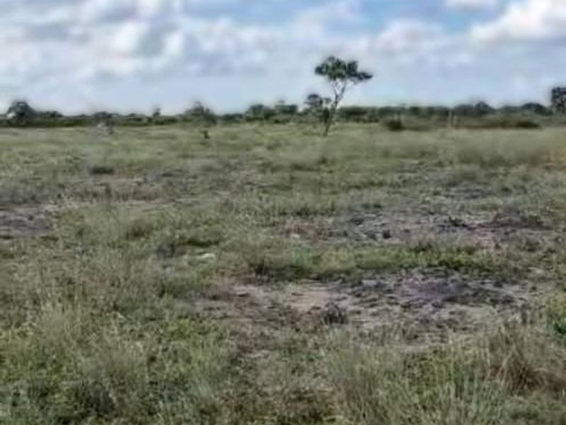 Farm For Sale - Photo 9