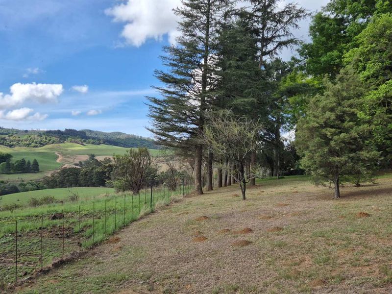 A scenic view of rolling green hills and rural landscape, featuring mature trees and wire boundary fencing.