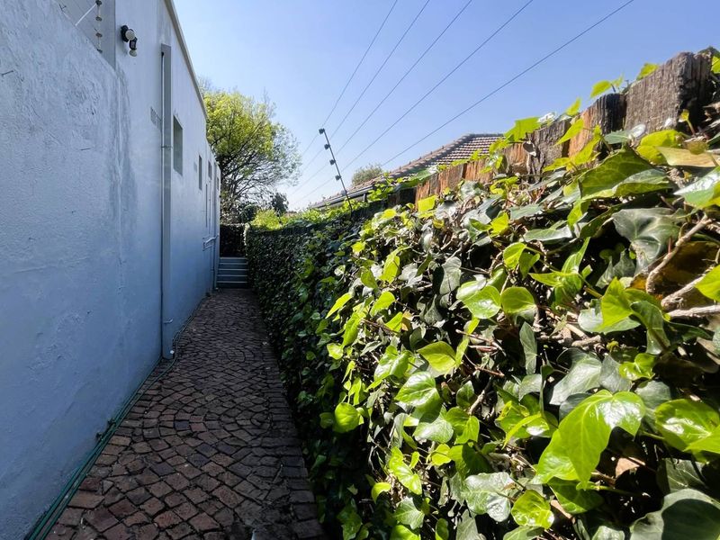 A narrow side pathway featuring cobblestone paving, bordered by a high boundary wall with established ivy and electric security fencing.