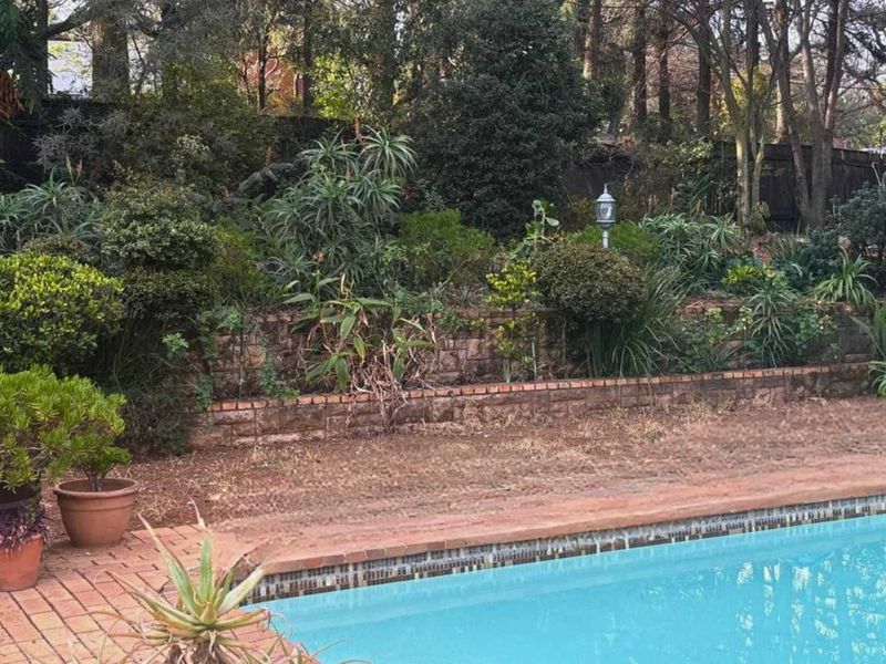 A swimming pool area featuring a brick-edged pool and a tiered garden with a brick retaining wall and established landscaping.