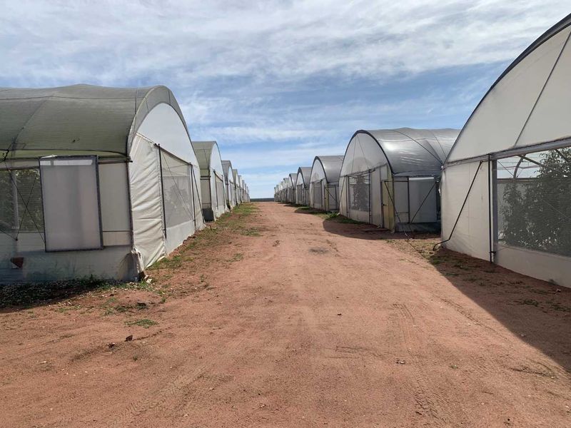 Established fresh produce plot - Photo 4