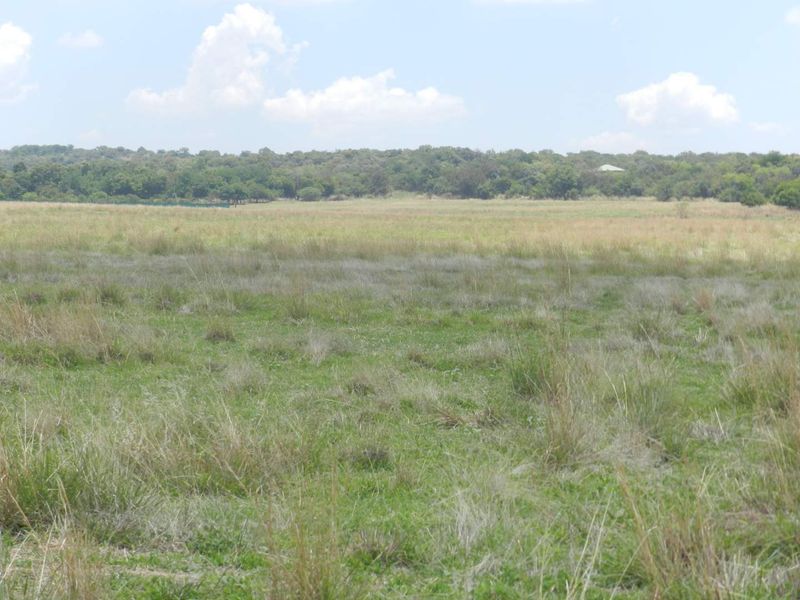 Exceptional 44-Hectare Agricultural Farm for Sale – Hekpoort (Farm 268 & 309) - Photo 4