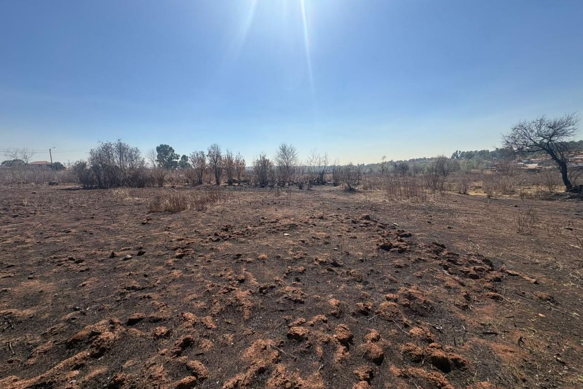 A wide-angle view of a vacant residential plot featuring dry, scorched earth and sparse vegetation under a clear blue sky.