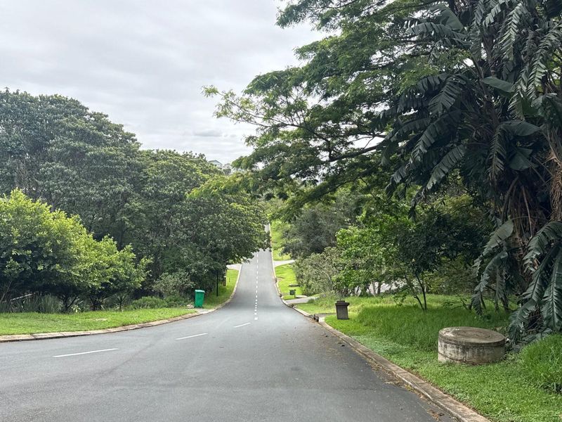 A view of the paved residential street leading up a gentle incline, surrounded by mature trees and established greenery.