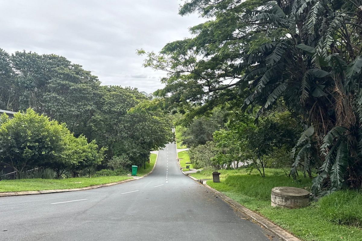 A view of the paved residential street leading up a gentle incline, surrounded by mature trees and established greenery.