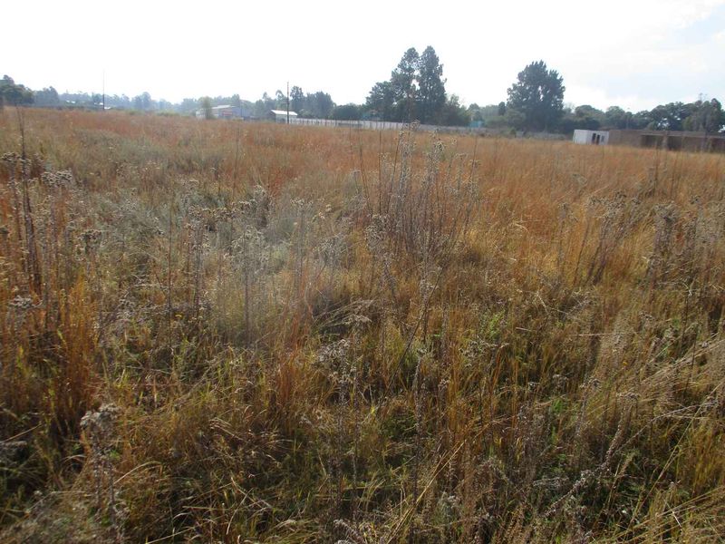 HIGHBURY IN THE MEYERTON AREA - Photo 3