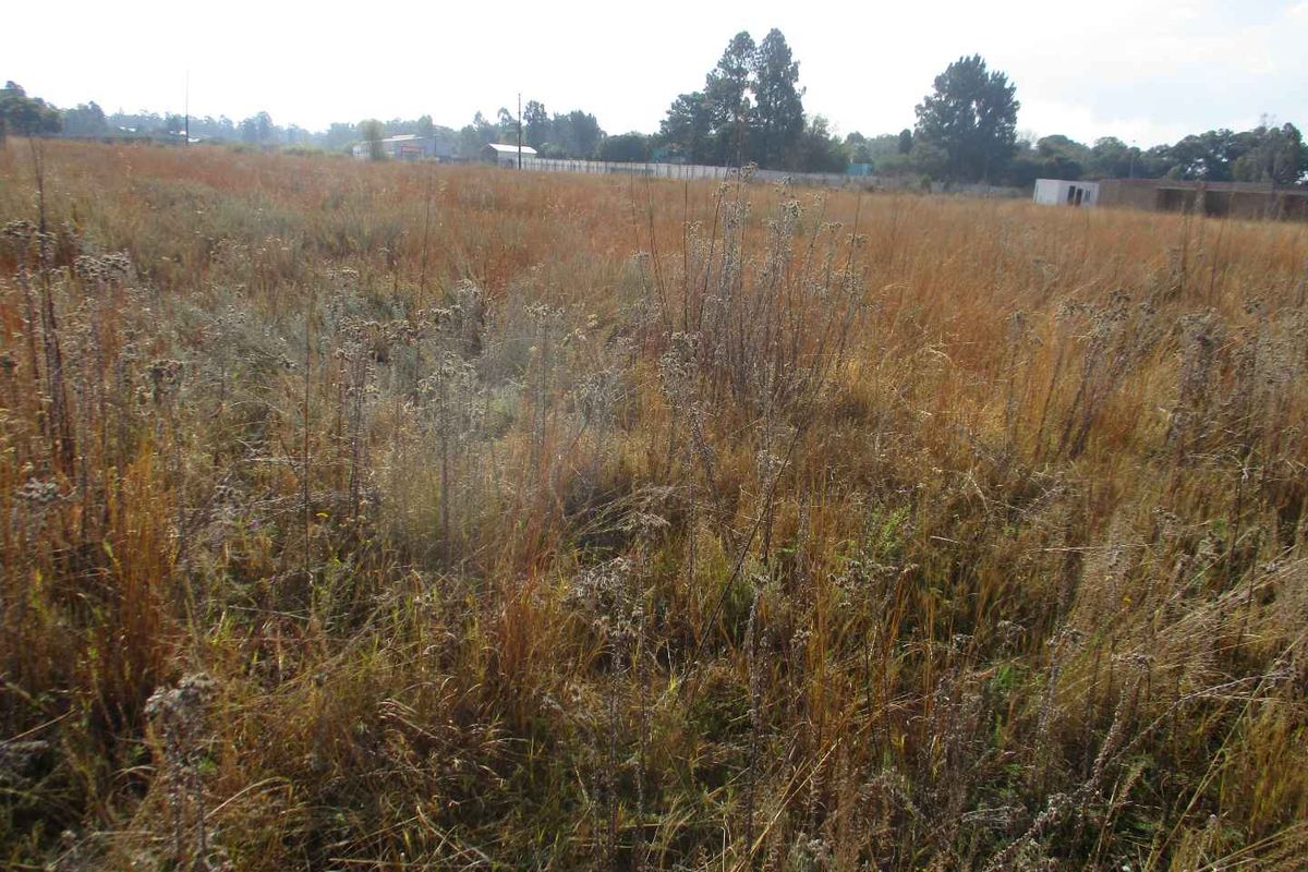 A view of a vacant residential plot covered in tall, dry grass, offering a blank canvas for future development.