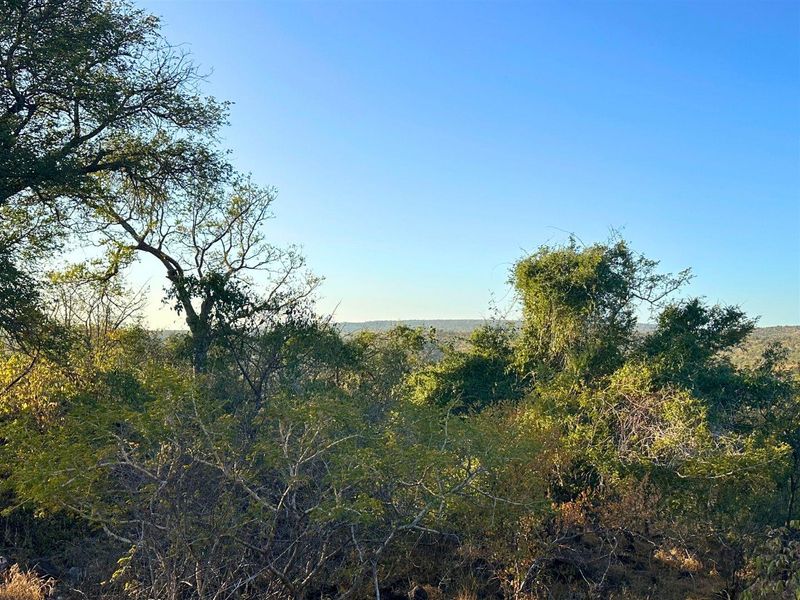 Build Your Dream Home with Mountain Views in Elephant Rock Eco Estate - Photo 5