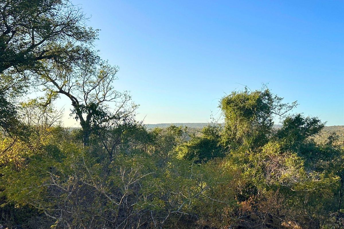 Build Your Dream Home with Mountain Views in Elephant Rock Eco Estate - Photo 5