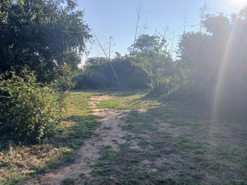 A view of a natural, partially cleared residential plot featuring mature trees and native vegetation, offering a quiet and private setting.