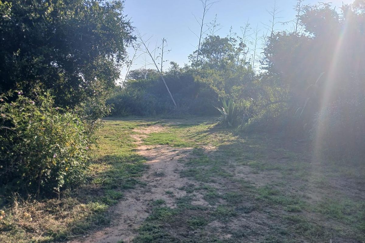 A view of a natural, partially cleared residential plot featuring mature trees and native vegetation, offering a quiet and private setting.