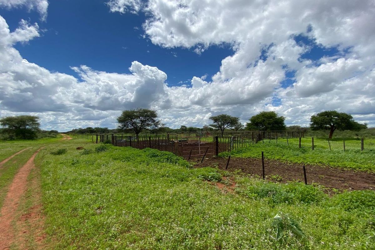 Open small holding land featuring a dirt access track and established livestock fencing and kraal area under a bright sky.