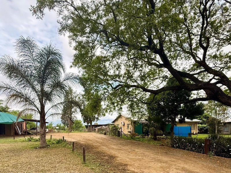 Prime Investment Opportunity – Multi-Income Property on 32.59 Hectares smallholding - Photo 2