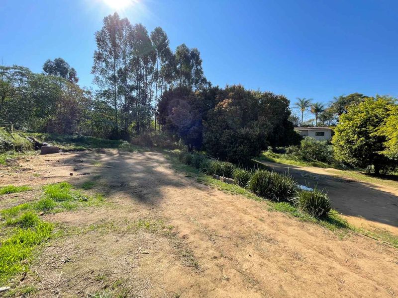 Blank Canvas 4 Hectares of Land in Quiet Cliffdale Area - Photo 10