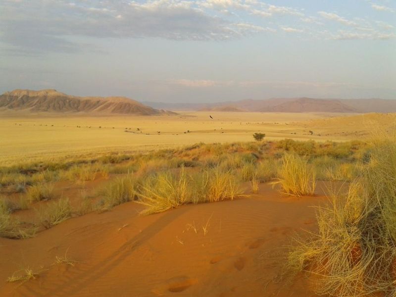 FOR SALE- IDEAL FOR SPECIAL TOURIST LODGE -FARM IN SOLITAIRE, NAMIBIA - Photo 3