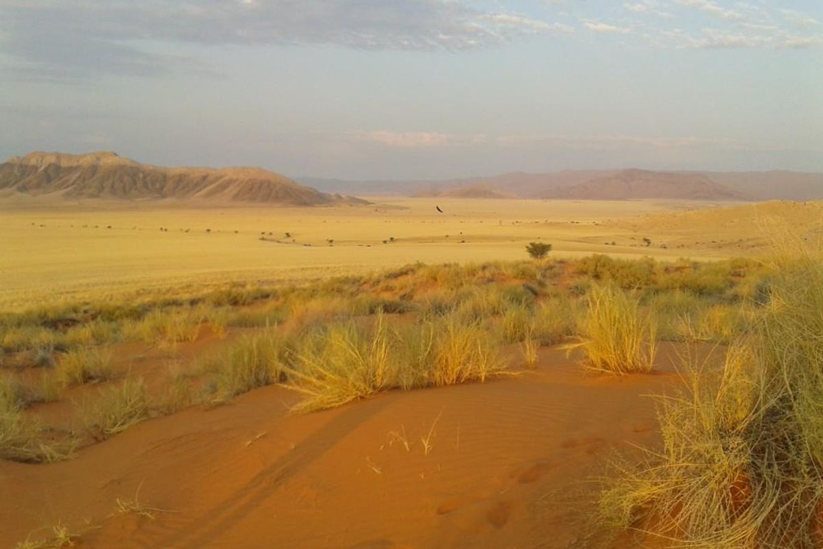 FOR SALE- IDEAL FOR SPECIAL TOURIST LODGE -FARM IN SOLITAIRE, NAMIBIA - Photo 3