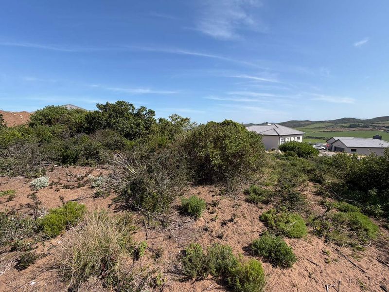 A view of a vacant residential plot featuring natural vegetation and sandy terrain in a developing estate setting.