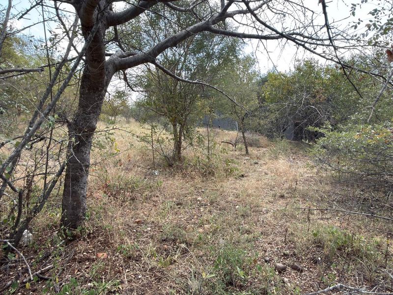 Lovely Bushveld Stand in Elephant Rock!! - Photo 5