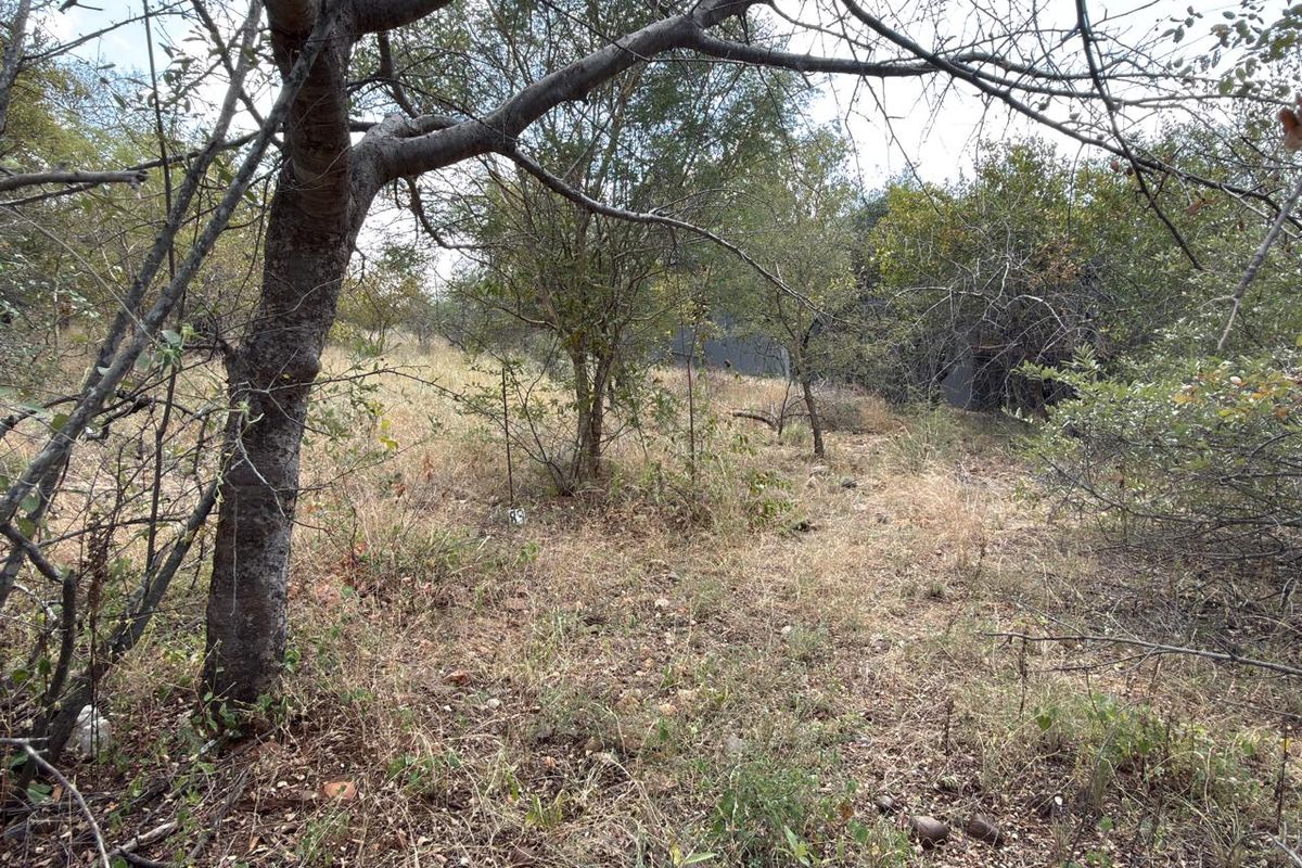Lovely Bushveld Stand in Elephant Rock!! - Photo 5