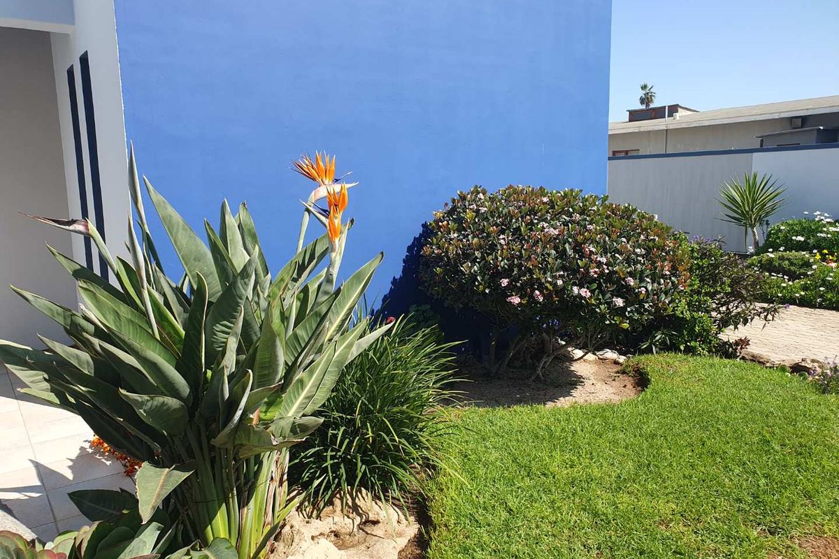 Here is a 520m2 spacious living house on a 1,056m2 erf. - Photo 3