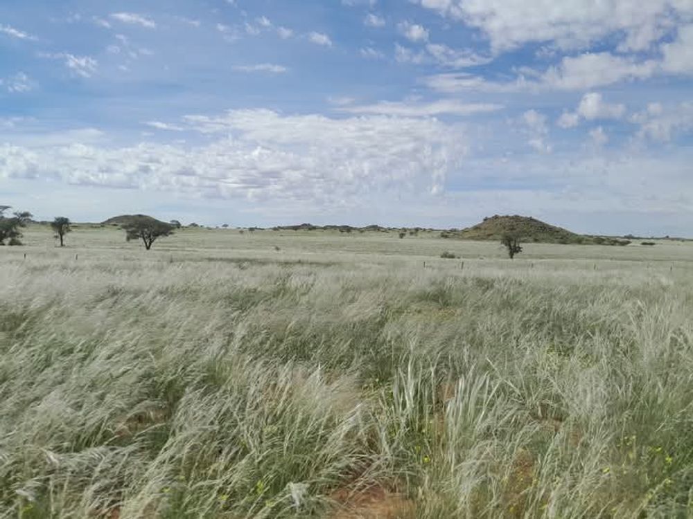 View of the field after the rain. 