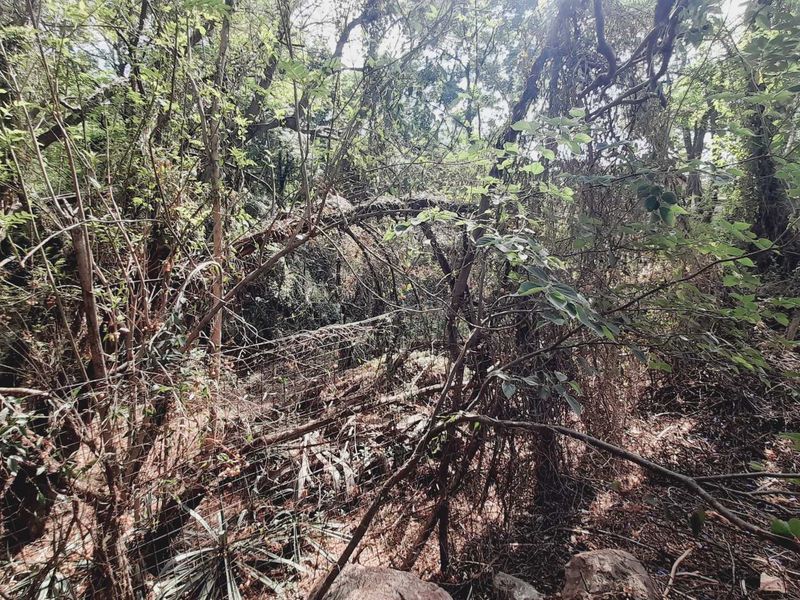 Tranquil & Convenient: Your Future Starts Here - Photo 6