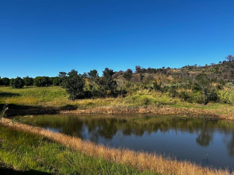 The Perfect Retreat: Farm Life Close to Tzaneen! - Photo 8