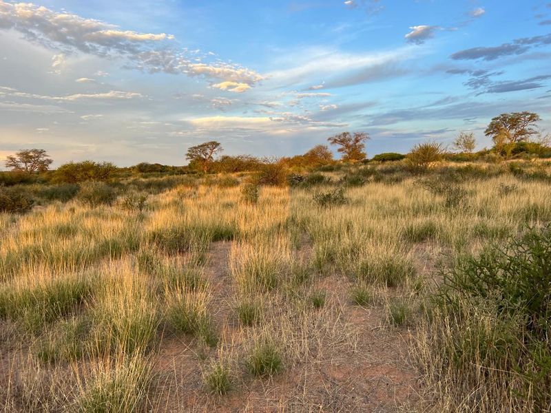 A Lifestyle Investment in the Heart of Nature - Photo 10