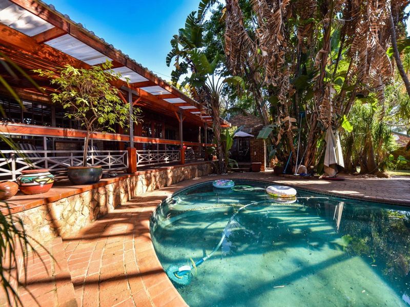 Outdoor pool area featuring a swimming pool, brick paving, and a covered timber pergola patio, surrounded by mature garden landscaping.