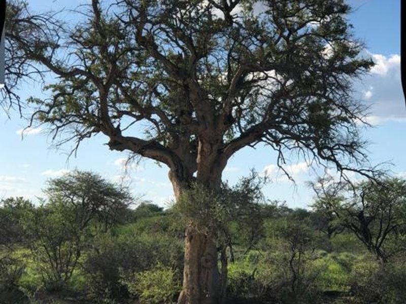 Large Game Farm close to the Erindi Game Reserve- 7900 HA - Photo 5