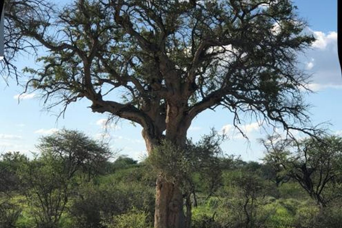 Large Game Farm close to the Erindi Game Reserve- 7900 HA - Photo 5