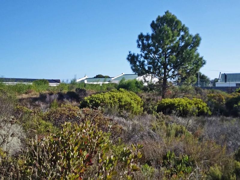 Level Stand, Lagoon Nearby, Lifestyle Sorted. - Photo 2