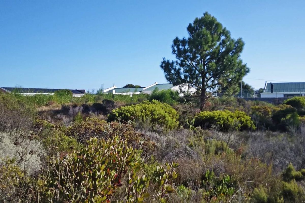 Level Stand, Lagoon Nearby, Lifestyle Sorted. - Photo 2