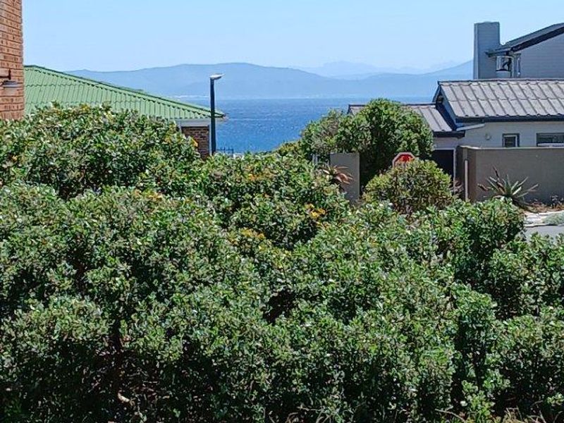 REMINDS ME OF THE LYRICS OF A SONG BY PERRY COMO - Photo 8